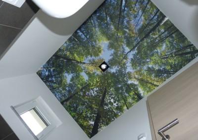 WC Decke Wald - Foto - Tapete tapeziert  in 90763 Fürth