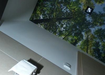 WC Decke Wald - Foto - Tapete tapeziert  in 90763 Fürth